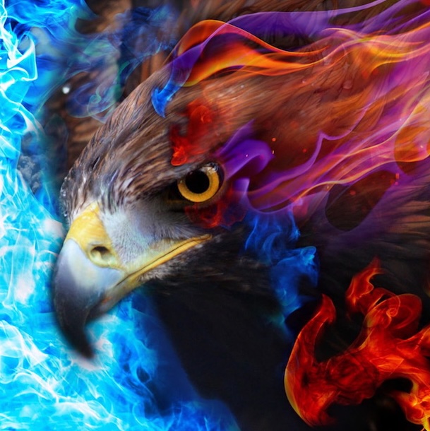 Intensive training for the prophetic